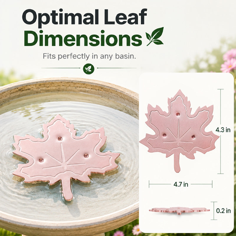 🔥HOT SALE 50% OFF🍁Universal Fit Bird Bath Purifier