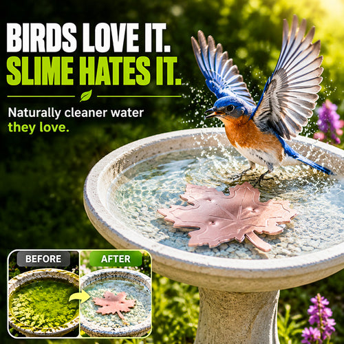 🔥HOT SALE 50% OFF🍁Universal Fit Bird Bath Purifier