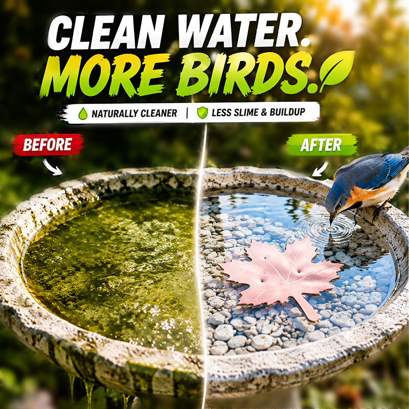🔥HOT SALE 50% OFF🍁Universal Fit Bird Bath Purifier