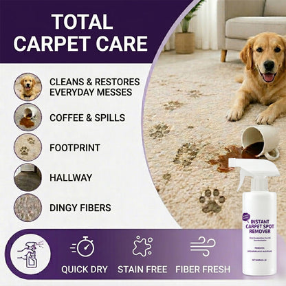 Timbe™ Instant Carpet Stain Remover Spray – Fast-Drying Foam Cleaner