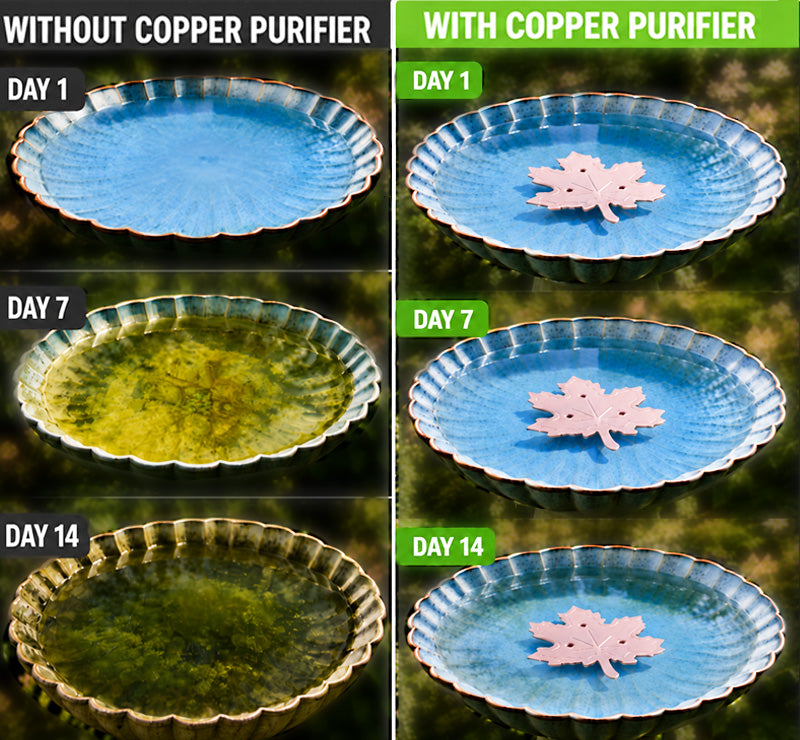 🔥HOT SALE 50% OFF🍁Universal Fit Bird Bath Purifier