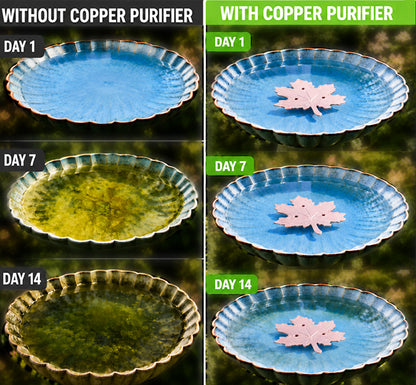 🔥HOT SALE 50% OFF🍁Universal Fit Bird Bath Purifier