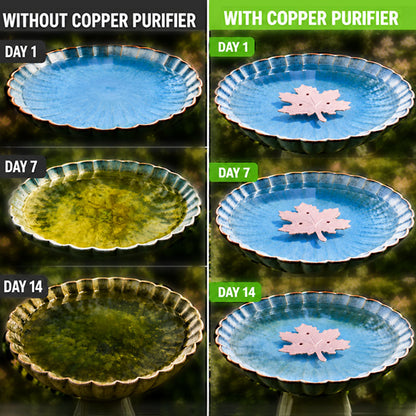 🔥HOT SALE 50% OFF🍁Universal Fit Bird Bath Purifier