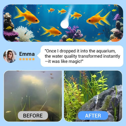 🎁Timbe™ Powerful Aquarium Water Purification Tablet (OFFER)