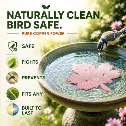 🔥HOT SALE 50% OFF🍁Universal Fit Bird Bath Purifier