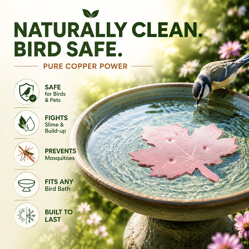 🍁Timbe™ Universal Fit Bird Bath Purifier