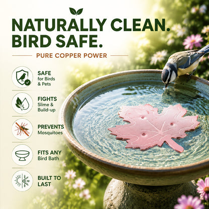 🍁Timbe™ Universal Fit Bird Bath Purifier