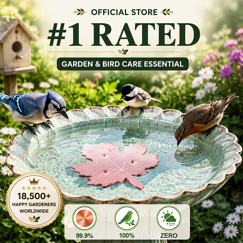 🔥HOT SALE 50% OFF🍁Universal Fit Bird Bath Purifier