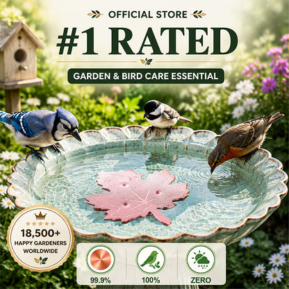 🔥HOT SALE 50% OFF🍁Universal Fit Bird Bath Purifier