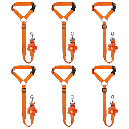 2-in-1 Dog Car Seat Belt & Walking Leash