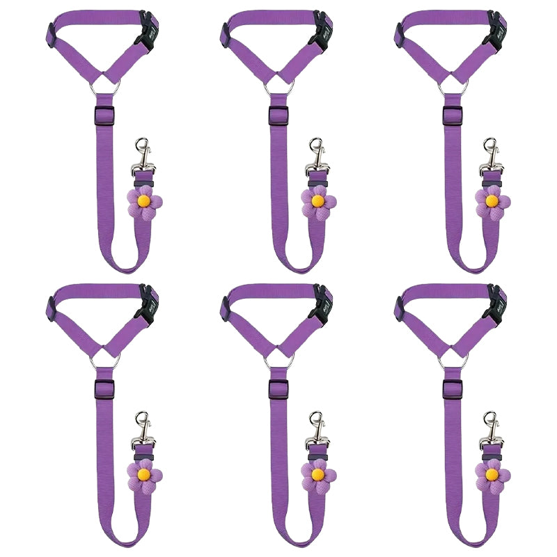 2-in-1 Dog Car Seat Belt & Walking Leash