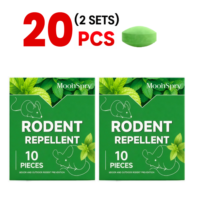 2 Pack ✨ Cheaper now than later: