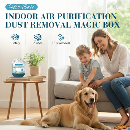 🎁2026 New Collection🌿Timbe™ Indoor Air Purification Dust Removal Magic Box🏠 (Offer)