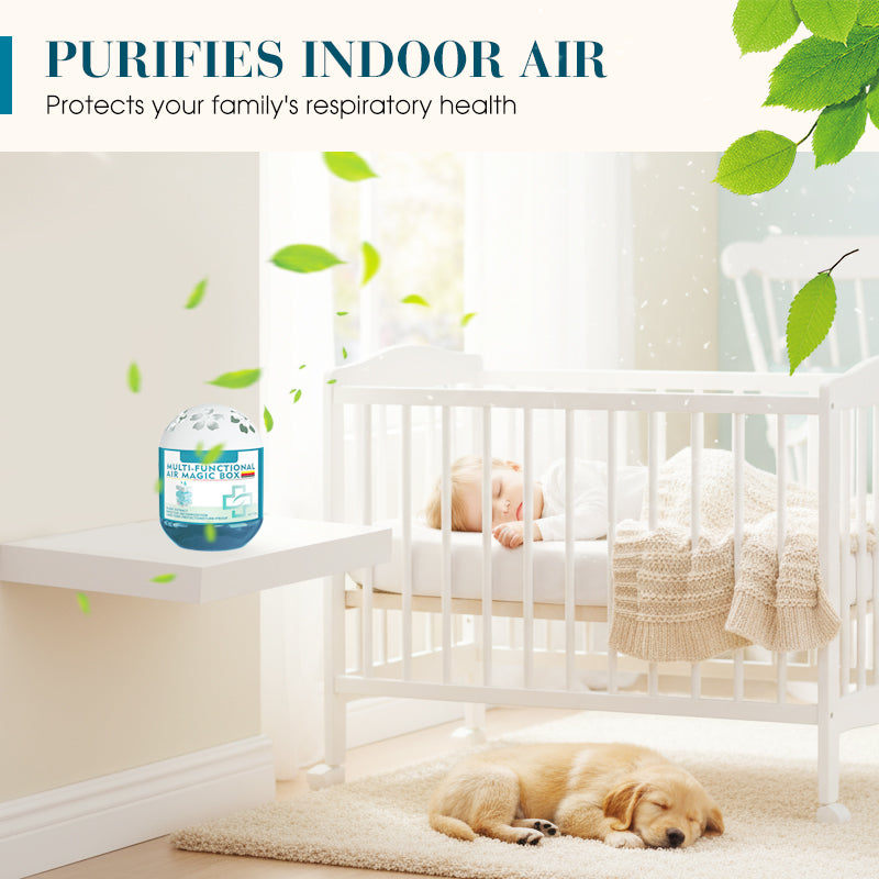 🎁2026 New Collection🌿Timbe™ Indoor Air Purification Dust Removal Magic Box🏠 (Offer)