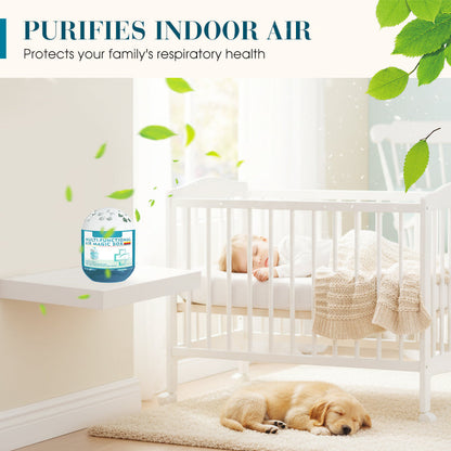 🎁2026 New Collection🌿Timbe™ Indoor Air Purification Dust Removal Magic Box🏠 (Offer)