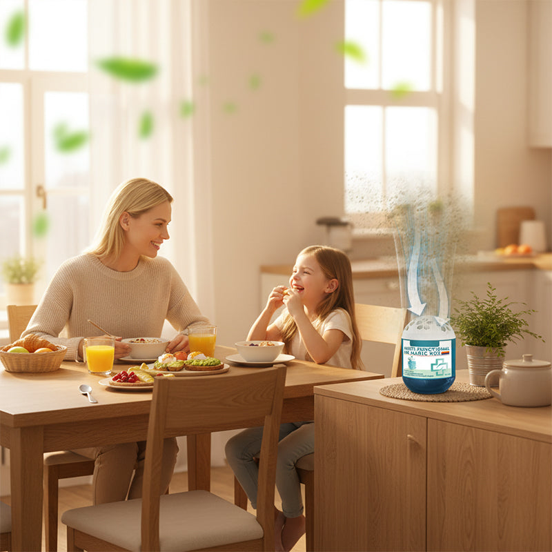 🎁2026 New Collection🌿Timbe™ Indoor Air Purification Dust Removal Magic Box🏠 (Offer)