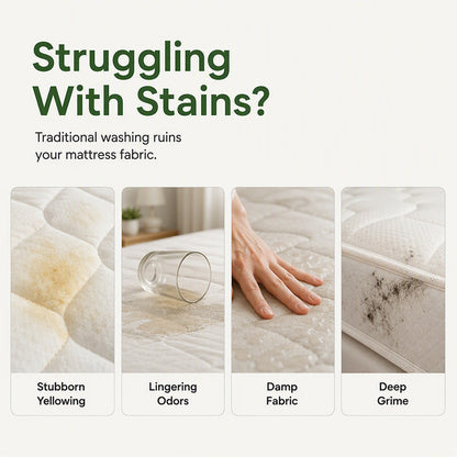 No-Rinse Mattress Dry Foam Cleaner (offer)