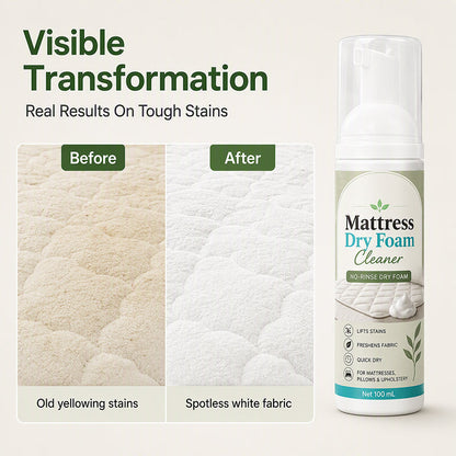 No-Rinse Mattress Dry Foam Cleaner (offer)