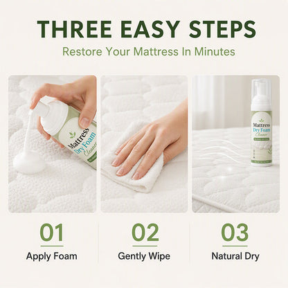No-Rinse Mattress Dry Foam Cleaner (offer)